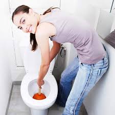 debouchage wc vincennes